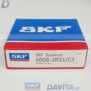 6008-2RS1/C3
