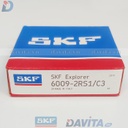 6009-2RS1/C3