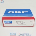 6010-2Z