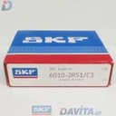 6010-2RS1/C3