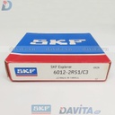 6012-2RS1/C3