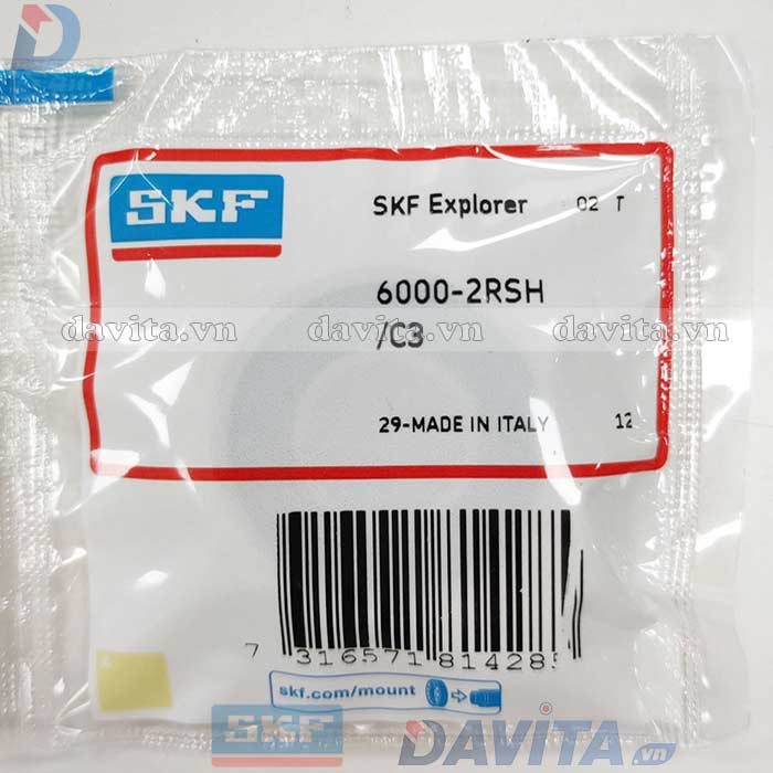 6000-2RSH/C3