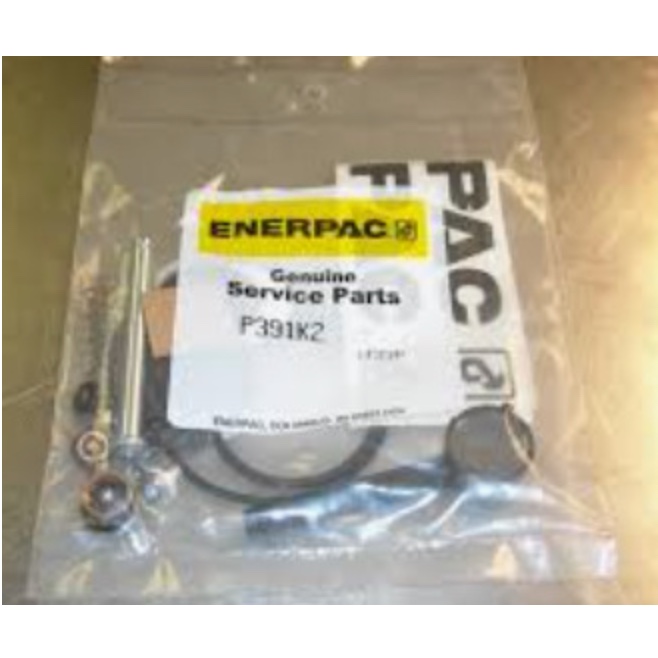 [EIDV07362] Bộ seal làm kín ENERPAC P391K2