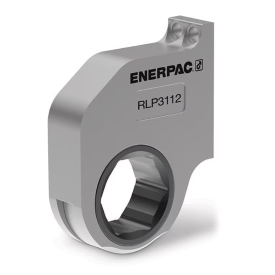 [EIDV07563] RLP1113