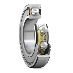 [EIDV02118] Vòng bi E2.6005-2Z/C3