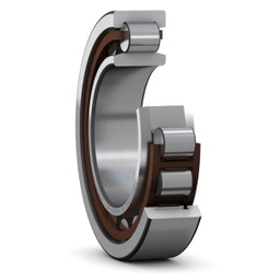 [EIDV02740] NU 313 ECP/C3